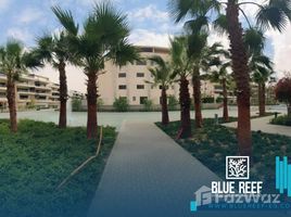 3 غرفة نوم شقة للبيع في Lake View Residence, التجمع الخامس