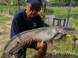  Grundstück zu verkaufen in Samrong, Ubon Ratchathani, Samrong, Samrong, Ubon Ratchathani