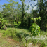  Land for sale in Chumphon, Thung Luang, Lamae, Chumphon