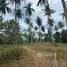  Grundstück zu verkaufen in Mai Khao, Phuket, Mai Khao, Thalang