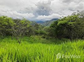 N/A Land for sale in Vilcabamba Victoria, Loja 6.2 hectares of beautiful land, Vilcabamba, Loja
