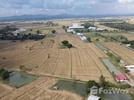  Terrain for sale in Dok Khamtai, Phayao, Dok Khamtai, Dok Khamtai