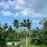  Land for sale in Koh Samui, Ang Thong, Koh Samui