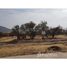  Land for sale at Colina, Colina, Chacabuco, Santiago