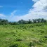 Terrain à vendre à San Felipe De Puerto Plata, Puerto Plata, San Felipe De Puerto Plata