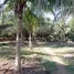  Land for sale in Amazonas, Presidente Figueiredo, Amazonas