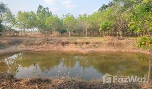 N/A Grundstück zu verkaufen in Na Mafueang, Nong Bua Lam Phu 