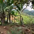  Land for sale in Tawang Mangu, Jawa Tengah, Tawang Mangu
