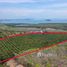  Земельный участок for sale in Thep Krasattri, Пхукет, Thep Krasattri, Тхаланг