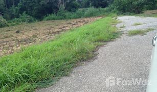 N/A Land for sale in Mae Chedi Mai, Chiang Rai 