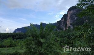 N/A Land for sale in Khao Thong, Krabi 
