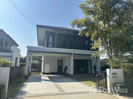 บ้านเดี่ยว 4 ห้องนอน ให้เช่า ในโครงการ บุราสิริ สันผีเสื้อ, สันผีเสื้อ