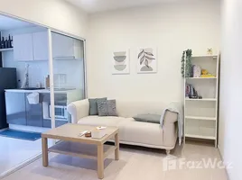 1 Bedroom Condo for rent at The Tree Sukhumvit 64, Bang Chak, Phra Khanong
