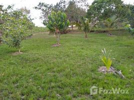  Land for sale in Brazil, Presidente Figueiredo, Presidente Figueiredo, Amazonas, Brazil