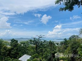  Grundstück zu verkaufen in Phuket Town, Phuket, Chalong