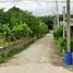  Land for sale in Thailand, Maenam Khu, Pluak Daeng, Rayong, Thailand