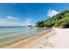 N/A Terreno (Parcela) en venta en , Islas De La Bahia with 498' White Sand, Guanaja, Islas de la Bahia