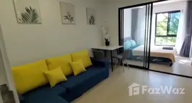 ยูนิตมือสองและให้เช่า