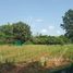  Land for sale in Udon Thani, Ban Tat, Mueang Udon Thani, Udon Thani