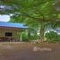  Land for sale in Nakhon Ratchasima, Khanong Phra, Pak Chong, Nakhon Ratchasima