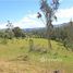  Terrain for sale in Cundinamarca, Sesquile, Cundinamarca