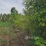  Terreno (Parcela) en venta en Badian, Central Visayas, Badian