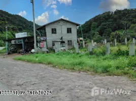  Grundstück zu verkaufen in Taunggye, Shan, Kalaw