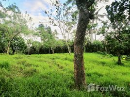  Land for sale in Cavite, Calabarzon, Alfonso, Cavite