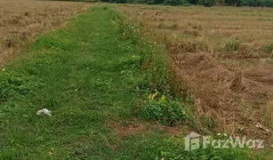 N/A Land for sale in Ban Pong, Chiang Mai 