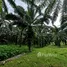  Land for sale in Huai Nam Khao, Krabi, Huai Nam Khao
