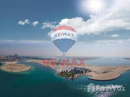  Land for sale at Nareel Island, Nareel Island, Abu Dhabi, United Arab Emirates