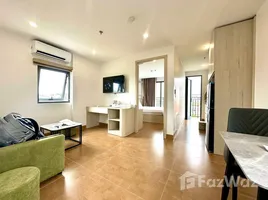 Villa 1 chambre à louer à My An, Da Nang, My An