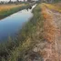  Land for sale in Thephalai, Nakhon Ratchasima, Thephalai, Khong, Nakhon Ratchasima
