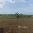  Terreno (Parcela) en venta en Puerto Plata, San Felipe De Puerto Plata