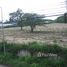 N/A Land for sale in Samnak Thon, Rayong Land For Sale 6 Rai
