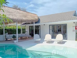 วิลล่า 4 ห้องนอน ให้เช่า ในทำเล บ่อผุด, สุราษฎร์ธานี, บ่อผุด