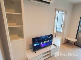 คอนโด 1 ห้องนอน ให้เช่า ในโครงการ นิว โนเบิล ศรีนครินทร์ – ลาซาล, สำโรงเหนือ, เมืองสมุทรปราการ