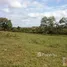  Land for sale in Bertioga, São Paulo, Pesquisar, Bertioga