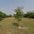  Land for sale in Ratchaburi, Sam Ruean, Mueang Ratchaburi, Ratchaburi