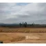  Land for sale in Rio Grande do Sul, Nova Hartz, Nova Hartz, Rio Grande do Sul