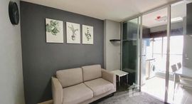 ยูนิตมือสองและให้เช่า