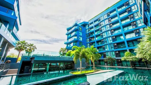 图片 1 of the Communal Pool at Acqua Condo