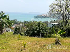 ขายที่ดิน ใน วิชิต, ภูเก็ต, วิชิต