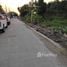  Land for sale in Pathum Thani, Lat Sawai, Lam Luk Ka, Pathum Thani