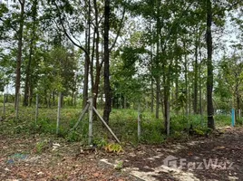  Land for sale in Mae Rim Chiang Mai, Mae Raem, Mae Rim, Chiang Mai