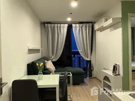 คอนโด 1 ห้องนอน ให้เช่า ในโครงการ อาร์ทีมิส สุขุมวิท 77, สวนหลวง