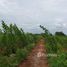  Terreno (Parcela) en venta en Chaiyaphum, Nong Tum, Phu Khiao, Chaiyaphum