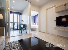 1 Bedroom Apartment for rent at The Base Height, Talat Yai, Phuket Town