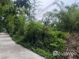  Grundstück zu verkaufen in Dau Tieng, Binh Duong, Thanh An, Dau Tieng, Binh Duong