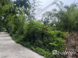  Земельный участок for sale in Binh Duong, Thanh An, Dau Tieng, Binh Duong